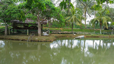 Kota Tinggi Firefly Valley Leisure Park