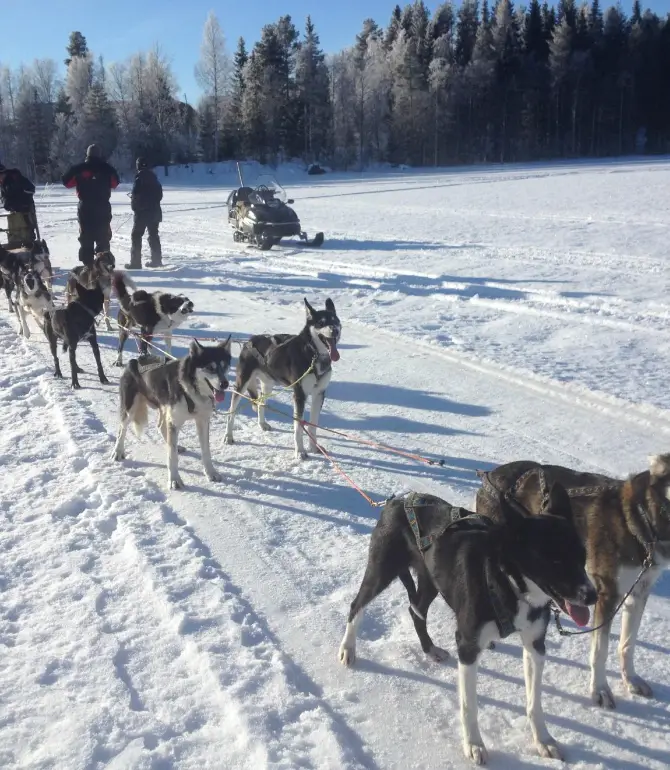 Norrfjarden
