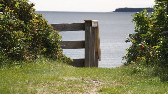 Roque Bluffs State Park