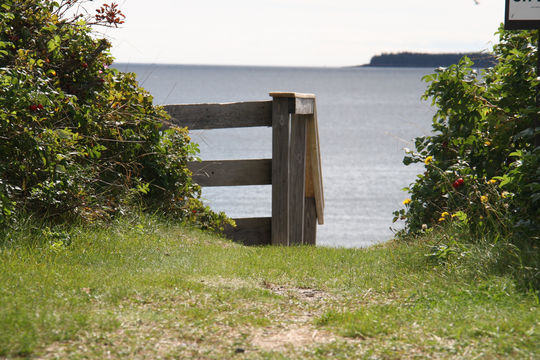 Roque Bluffs State Park