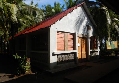 Tortuguero