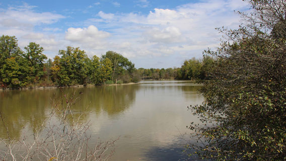 Lorne C. Henderson Conservation Area
