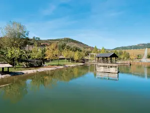 Oasi Fiume Alento