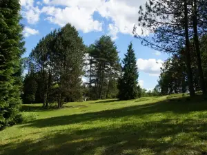 Arboretum