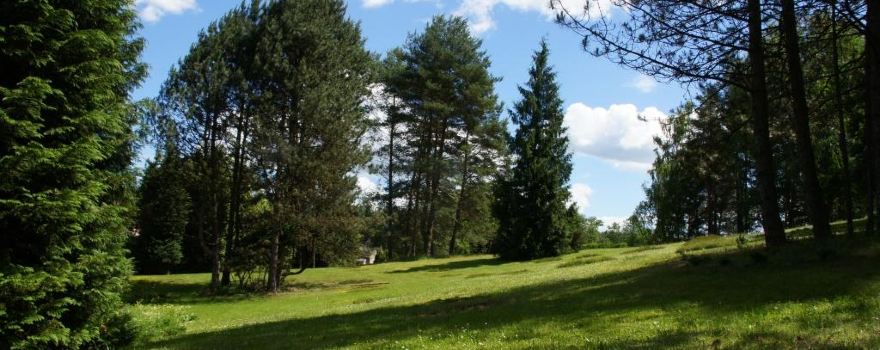 Arboretum