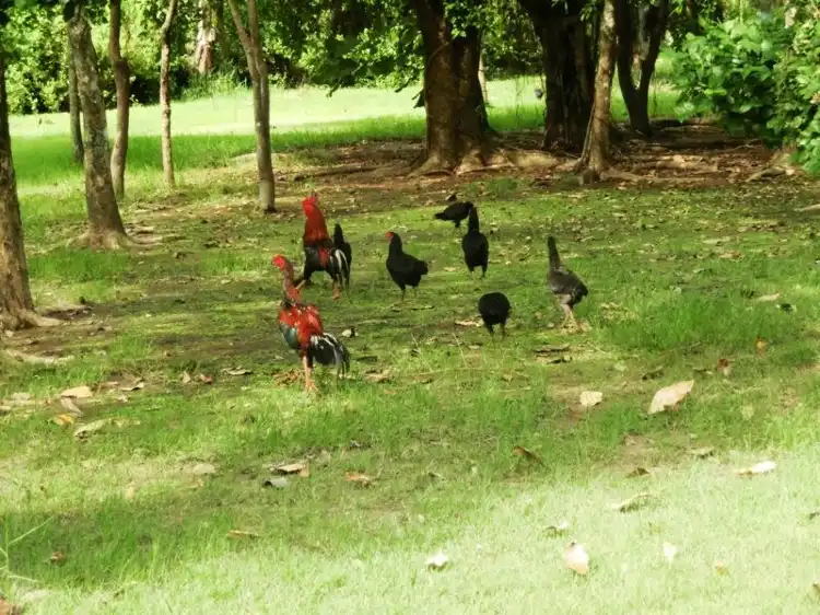 Hoteles en Prasat