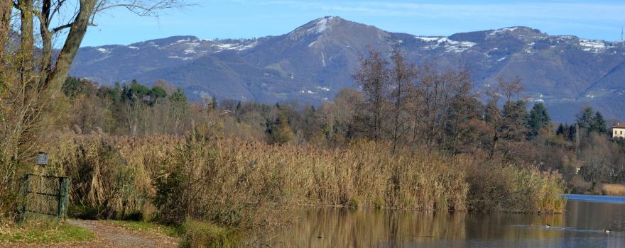 Lago di Sartirana