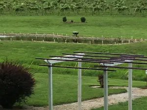 Cache River Basin Vineyard & Winery