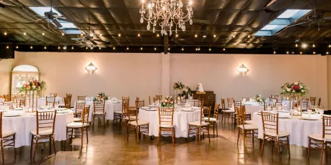 Wild Stallion Vineyards