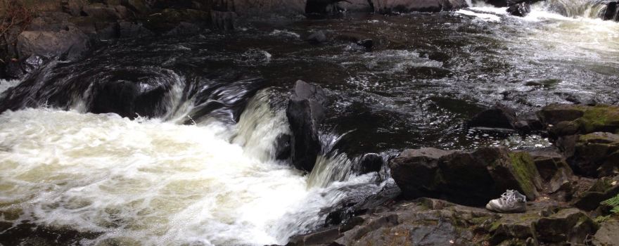 Brook's Falls