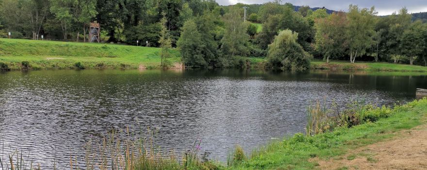 Scierie à Eau