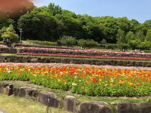 Yamaguchi Flower Land