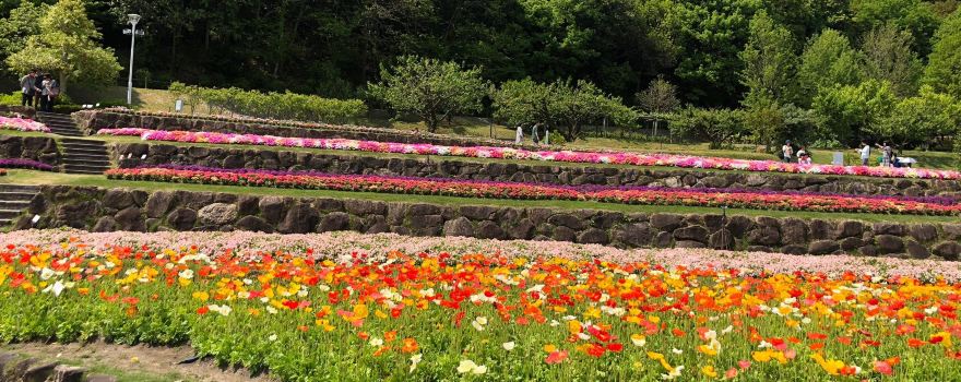 Yamaguchi Flower Land