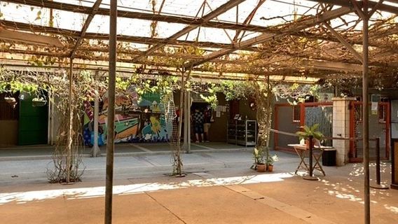 Mountain Clark Firing Range