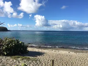 Playa Punta Soldado