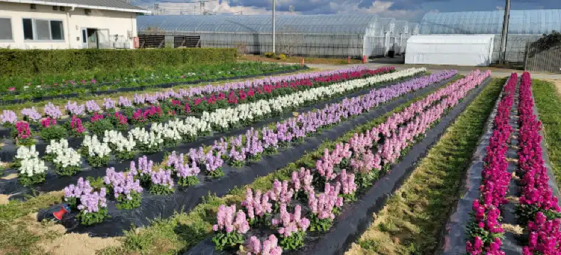 Hotels near Sanyo-onoda City University