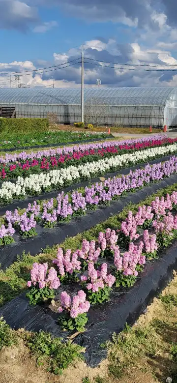 Hotels near Suzumeda Station