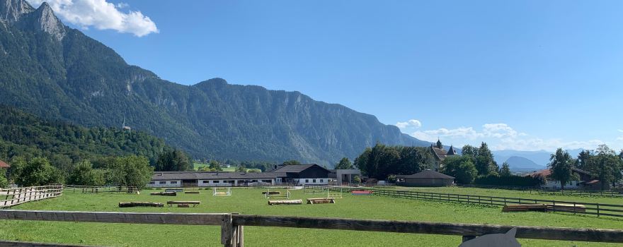 Haflingergestüt Fohlenhof