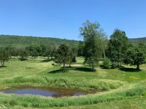 Welsford Golf Course