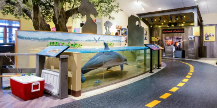 Creole Nature Trail Adventure Point