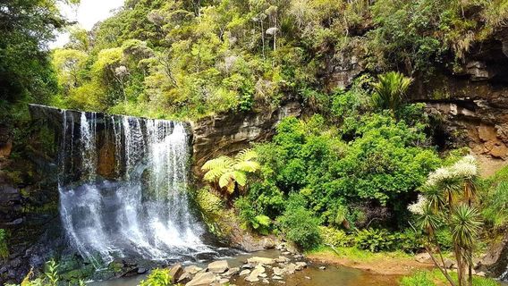 Muriwai