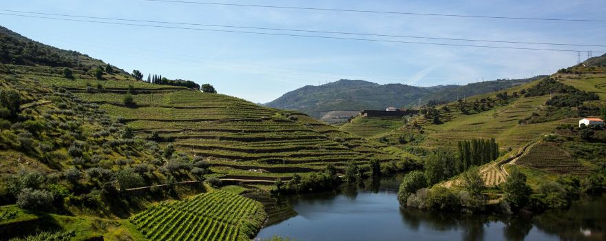 Enjoy Douro
