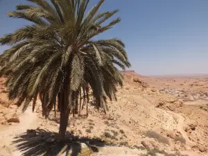 Mosquee des 7 Dormants