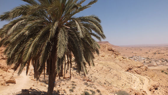 Mosquee des 7 Dormants