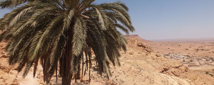 Mosquee des 7 Dormants