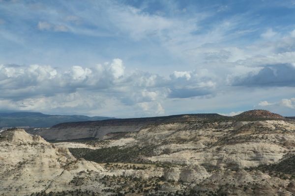 The Hogback