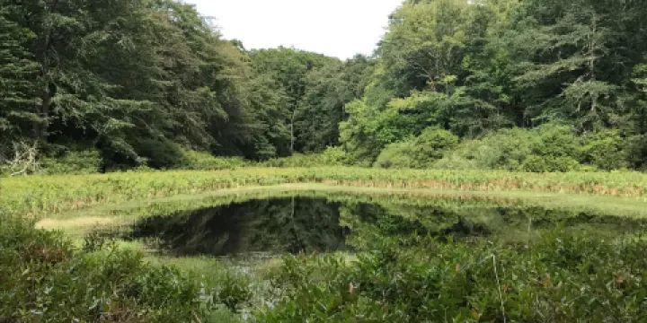 Dr. John Champlin Glacier Park