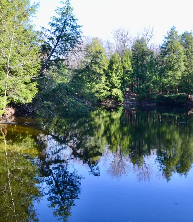 Oro-Medonte