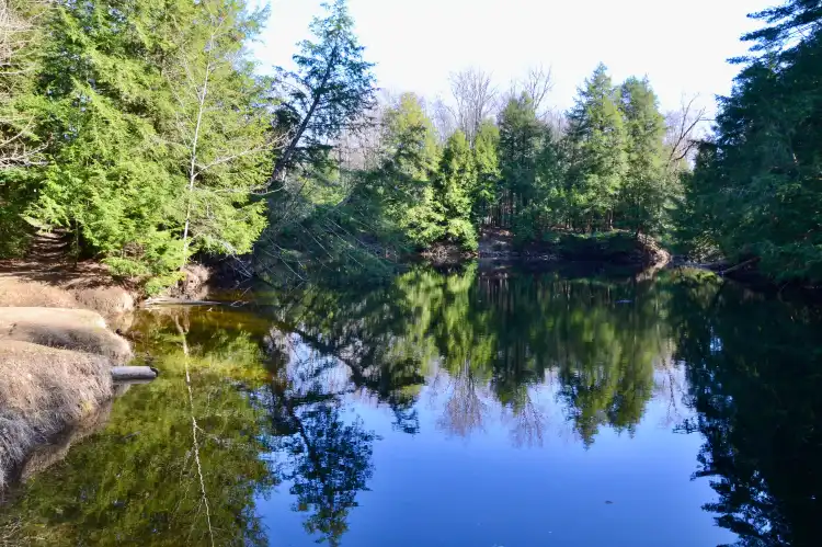 Hotels in Oro-Medonte