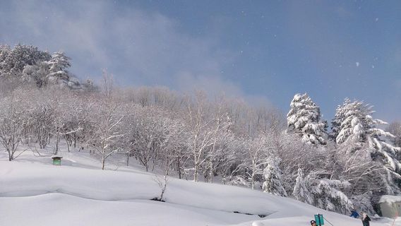 Montdeus Hidakuraiyama Rest Area