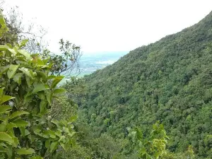 Mount Arayat National Park