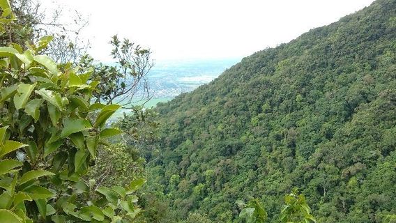 Mount Arayat National Park