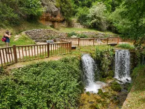 Fonts del Cardener