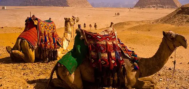 Hotels near Giza Pyramids and Egyptian Cooking