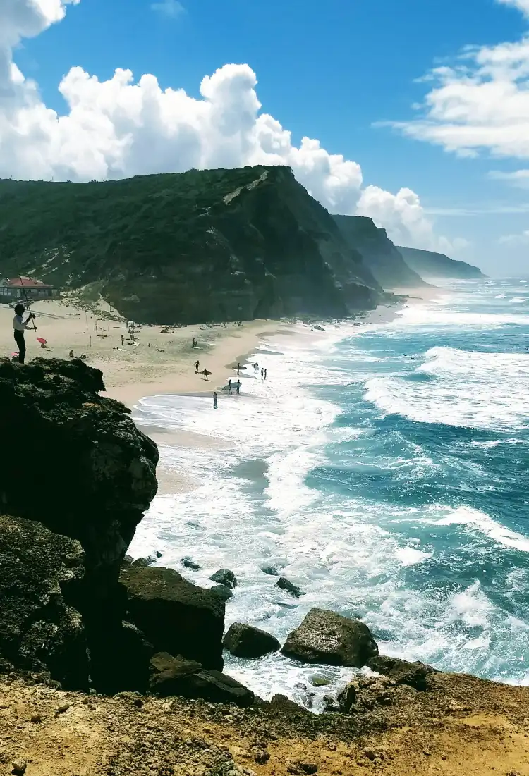 Carvoeira