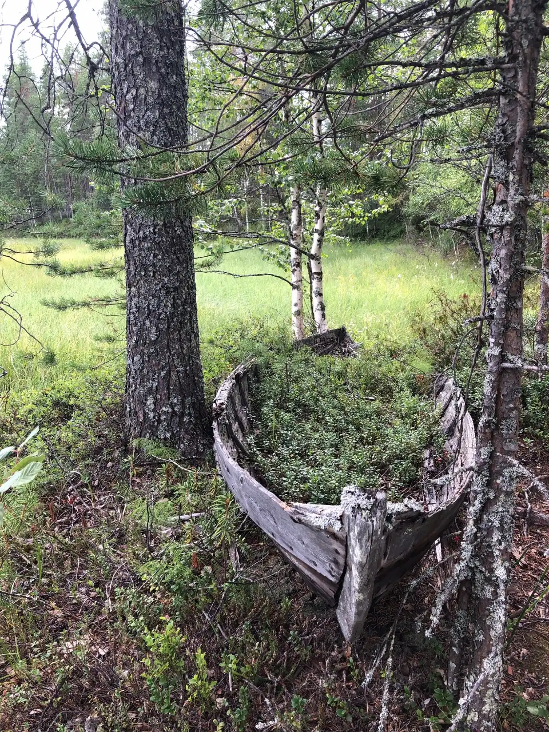 Kalmosarkka附近的飯店