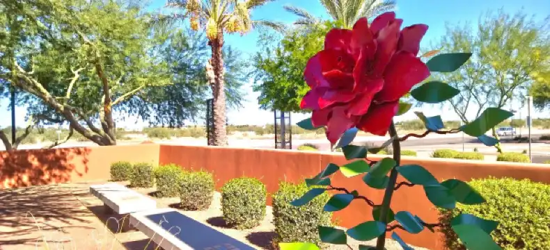Hotels in Surprise