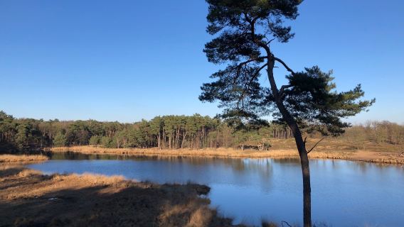 Hatertse En Overasseltse Vennen