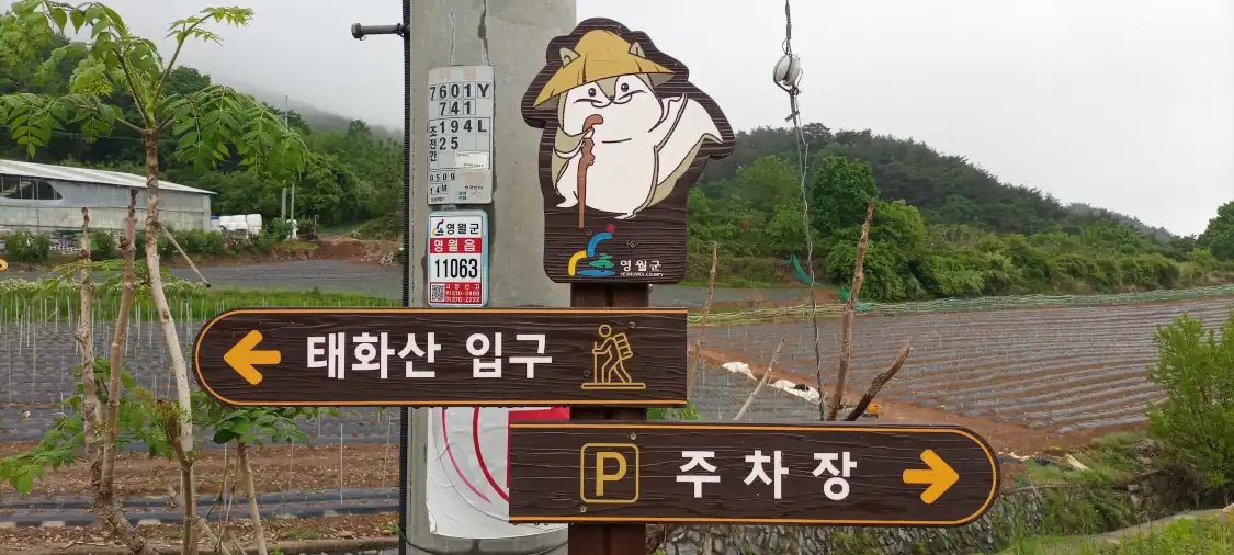 태화산 주변 호텔
