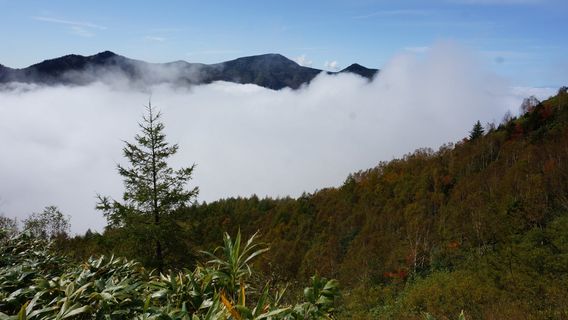 Takayama
