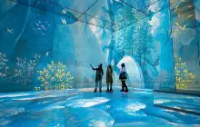 Frameless Immersive Art Experience