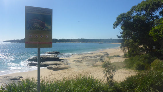 Jibbon Beach