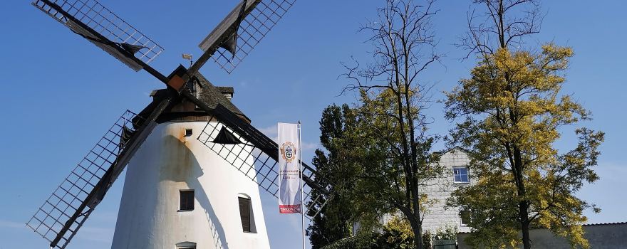 Windmühle Podersdorf am See