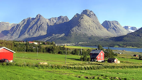 Lyngen Safari