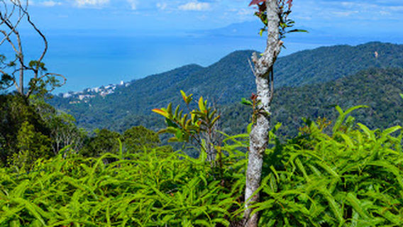 Barat Daya Pulau Pinang