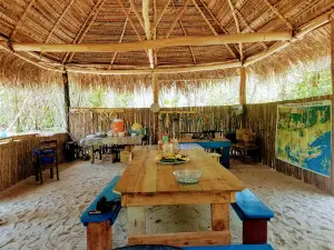 Palmento Grove Garifuna Eco Cultural And Healing Lodge
